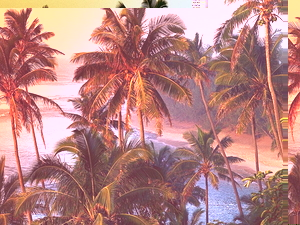 mooie-lucht-palmboom-natuur-strand-achtergrond
