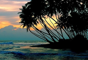 natuur-strand-tropen-zee-achtergrond