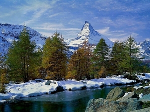 zwitserland-larix-lyalliisubalpine-lariks-natuur-bergen-achtergro