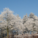 winter in ons dorp