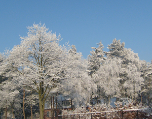 winter in ons dorp