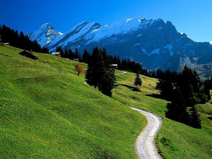 bergen-zwitserland-natuur-groene-achtergrond