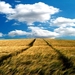 hdr-fotos-veld-natuur-wolken-achtergrond