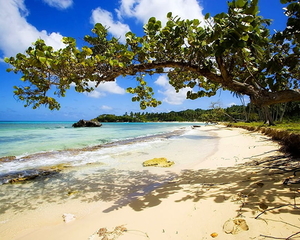 strand-natuur-caraiben-tropen-achtergrond