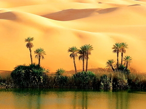 woestijn-oase-natuur-palmboom-achtergrond