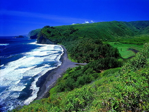 rezerwat-lesny-kohala-krajobrazy-hawaje-przyroda-tapeta
