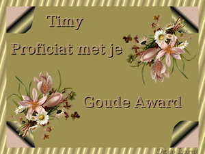 Goude Award.Timy jpg
