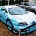 IMG_7191_Bugatti-16punt4-Veyron-Super-Sport_Ting&Tiger_2014-7993c