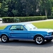 023_19-08_Neupré-US-Kerkhof_Ford-Mustang_blauw_IMG_7767