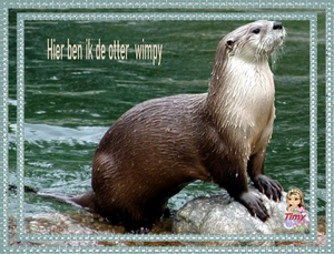 de otter  wimpyxx