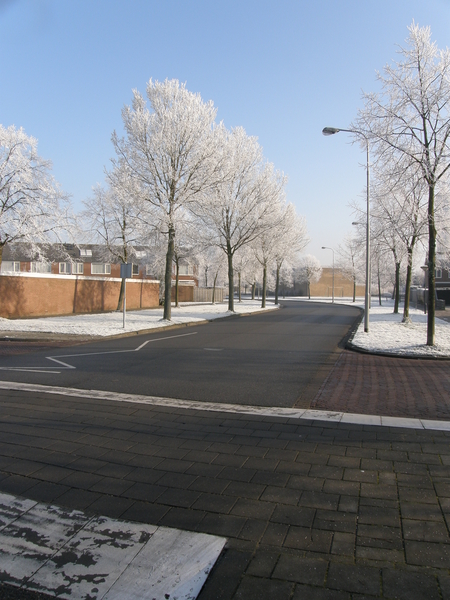 Winter in de Goese |Polder.