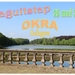 OKRA20230525 (00)