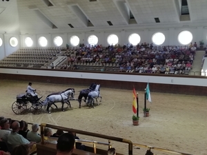 1D Jerez, paardenstoeterij, show _4736