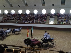 1D Jerez, paardenstoeterij, show _4751