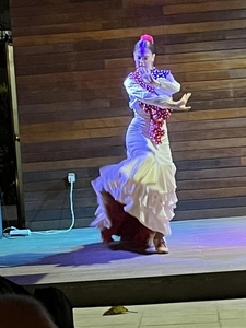 6D Benalmadena, Flamenco _57836_n