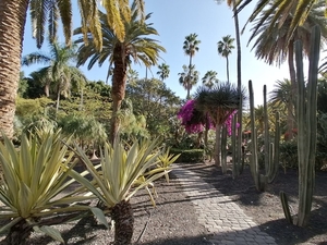 3 Santa Cruz, Botanische tuin -WA0030