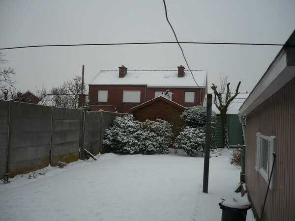 sneeuw op 1 februarie 2009 005