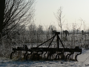 winter 2009
