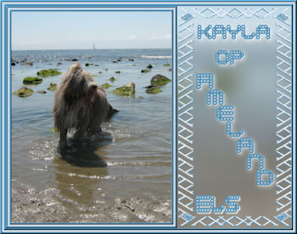 Kayla  strand