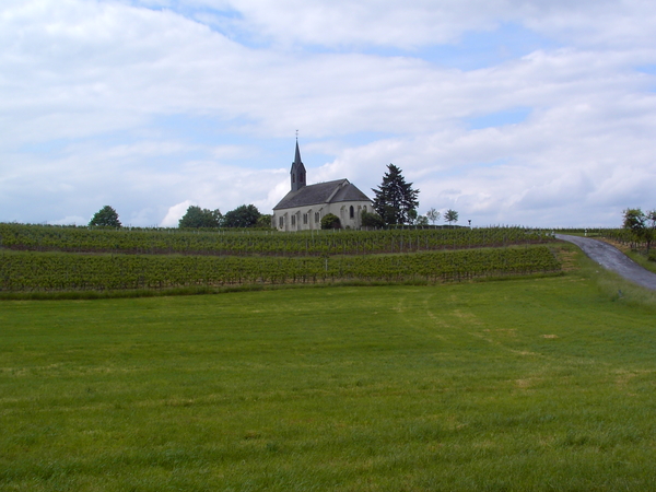 St.Rochuskapel tussen de wijngaarden