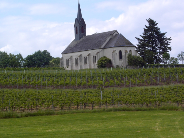St.Rochuskapel tussen de wijngaarden