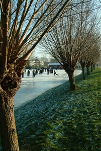 winter 2008 077