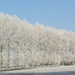 winter2008-2009