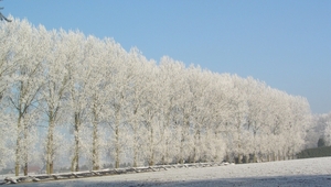 winter2008-2009