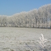 winter2008-2009 Aalter Brug
