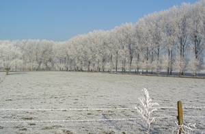 winter2008-2009 Aalter Brug