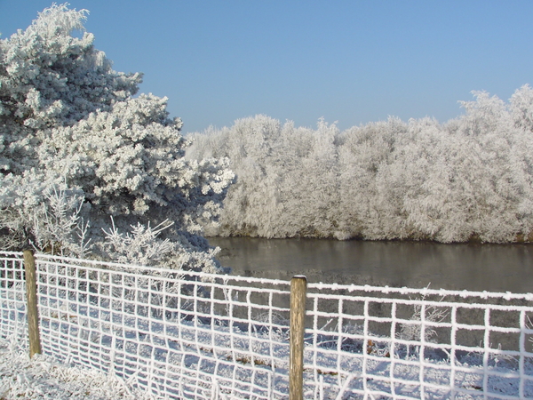 Winter langs 't kanaal te Aalter Brug