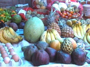 fruit of the island