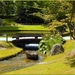 België Hasselt 03  (Japanse tuin) (Large) (Medium)