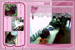 2008 mijn kattentuig