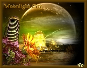 moonlight city