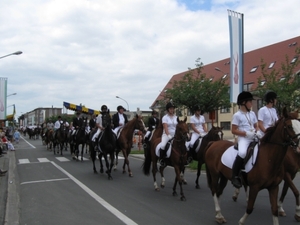 Sint-Paulus paardenprocessie Opwijk 08 009