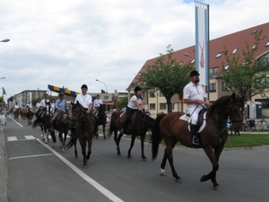 Sint-Paulus paardenprocessie Opwijk 08 011