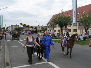 Sint-Paulus paardenprocessie Opwijk 08 016