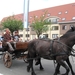 Sint-Paulus paardenprocessie Opwijk 08 019