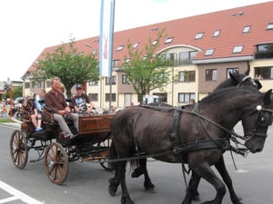 Sint-Paulus paardenprocessie Opwijk 08 019