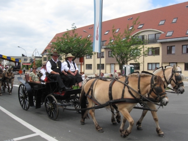 Sint-Paulus paardenprocessie Opwijk 08 025