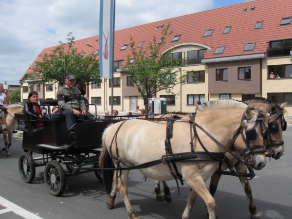 Sint-Paulus paardenprocessie Opwijk 08 030