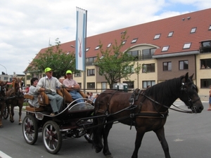 Sint-Paulus paardenprocessie Opwijk 08 040