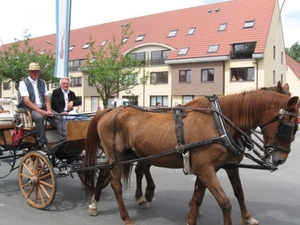Sint-Paulus paardenprocessie Opwijk 08 044