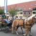 Sint-Paulus paardenprocessie Opwijk 08 047