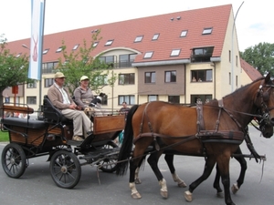Sint-Paulus paardenprocessie Opwijk 08 048