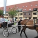 Sint-Paulus paardenprocessie Opwijk 08 049