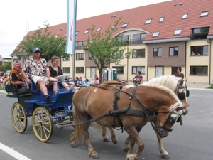 Sint-Paulus paardenprocessie Opwijk 08 051