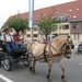 Sint-Paulus paardenprocessie Opwijk 08 052