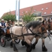 Sint-Paulus paardenprocessie Opwijk 08 055